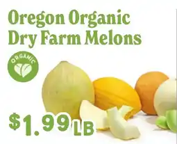 Market of Choice Oregon Organic Dry Farm Melons offer