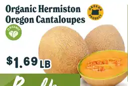 Market of Choice Organic Hermiston oregon cantaloupes offer