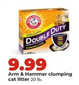 Hy-Vee Arm & Hammer Clumping Cat Litter offer