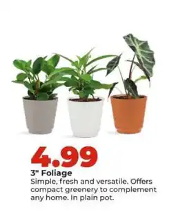 Hy-Vee 3 Foliage offer