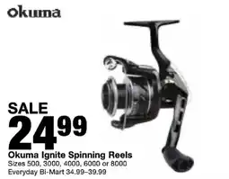 Bi-Mart Okuma Ignite Spinning Reels offer