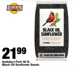 Bi-Mart Audubon Park Black Oil Sunflower Seeds offer