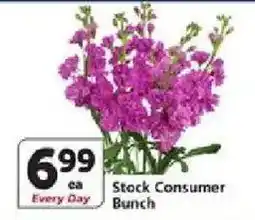 Vons Stock Consumer Bunch offer