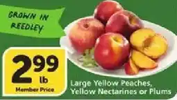 Vons Large Yellow Peaches, Yellow Nectarines or Plums offer