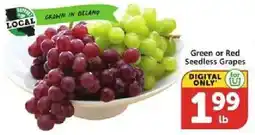 Vons Green or Red Seedless Grapes offer