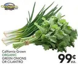 Pete's Fresh Market Cal-Organic organic green onions or cilantro offer