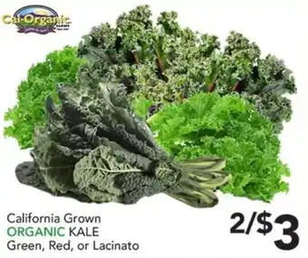 Cal-Organic Organic Kale