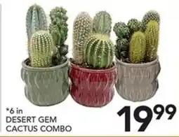 Pete's Fresh Market Desert Gem Cactus Combo offer