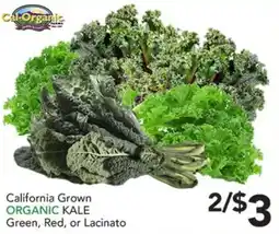 Pete's Fresh Market Cal-Organic Organic Kale offer