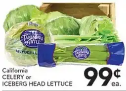 Pete's Fresh Market Tanamura Antle California Celery or Iceberg Head Lettuce offer