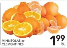 Pete's Fresh Market Minneolas or Clementines offer
