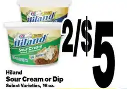 Super Saver Hiland Sour Cream or Dip offer
