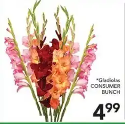 Pete's Fresh Market Gladiolas Consumer Bunch offer