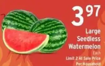 Large Seedless Watermelon