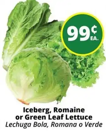 Iceberg, Romaine or Green Leaf Lettuce