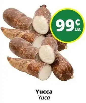 Yucca Yuca