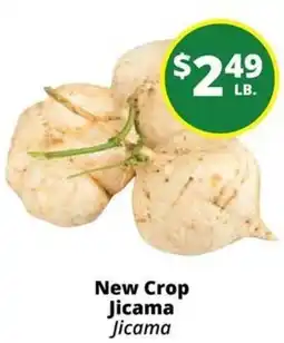 Rancho Markets New Crop Jicama Jicama offer