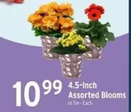Brookshire's Assorted Blooms offer