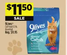 Dollar General 9Lives Cat Food offer
