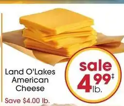 Giant Eagle Land O Lakes American Cheese offer