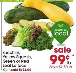 Giant Eagle Zucchini, Yellow Squash, Green or Red Leaf Lettuce offer