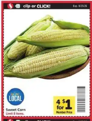 Sweet Corn