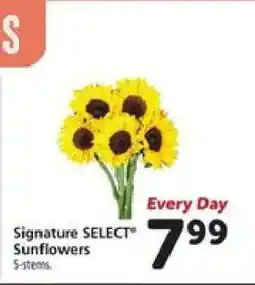 Safeway Signature SELECT Sunflowers offer