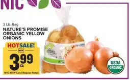 Food Lion Nature's Promise Organic Yellow Onions offer