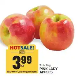 Food Lion Pink Lady Apples offer