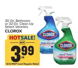 Food Lion Clorox Cleaner offer
