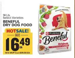 Food Lion Beneful Dry Dog Food offer