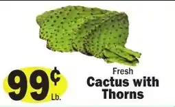 Sellers Bros Fresh Cactus with Thorns offer