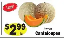 Sellers Bros Sweet Cantaloupes offer