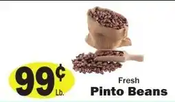 Sellers Bros Fresh Pinto Beans offer