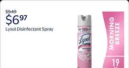 Walmart Lysol Disinfectant Spray, Sanitizing and Antibacterial Spray, Deodorizer, Early Morning Breeze offer