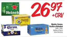 El Super Modelo, Corona, Pacifico o Heineken offer