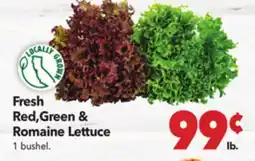 Vallarta Supermarkets Fresh Red, Green & Romaine Lettuce offer