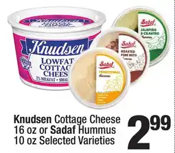 Super King Markets Knudsen Cottage Cheese 16 oz or Sadaf Hummus 10 oz offer