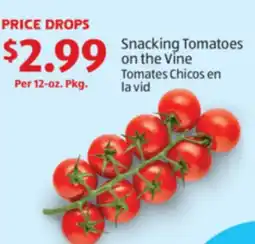 Aldi Snacking Tomatoes on the Vine offer