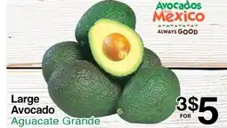 Superior Grocers Large Avocado offer
