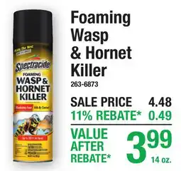 Menards Foaming Wasp & Hornet Killer offer