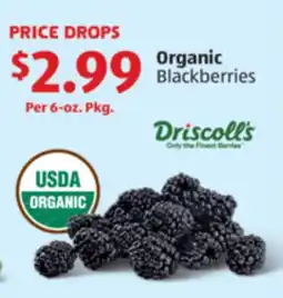 Aldi Organic Blackberries offer