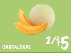 Foodarama Cantaloupe offer