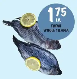 Foodarama Fresh Whole Tilapia offer