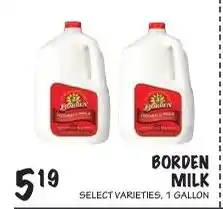 Foodarama Borden milk offer