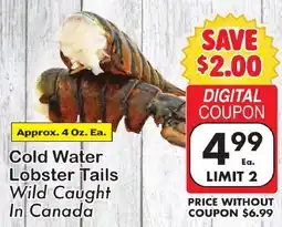Fairplay Cold Water Lobster Tails offer