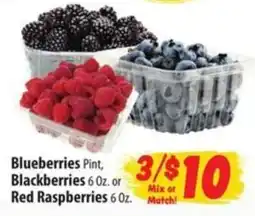 Food Giant Blueberries, Blackberries or Red Raspberries offer