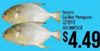 Frozen Golden Pompano