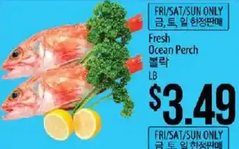 Hmart Fresh Ocean Perch offer