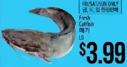 Hmart Fresh Catfish offer